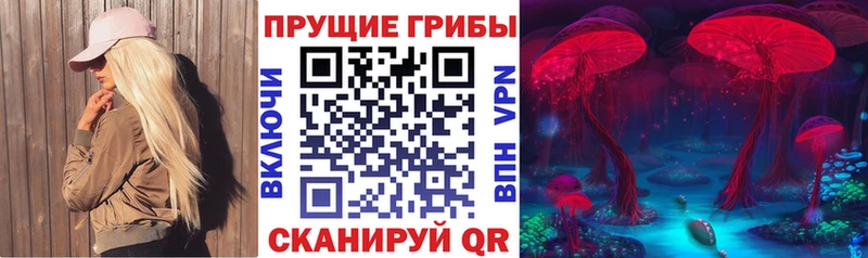 Купить закладки  Лесозаводск  Псилоцибиновые грибы мухоморы 